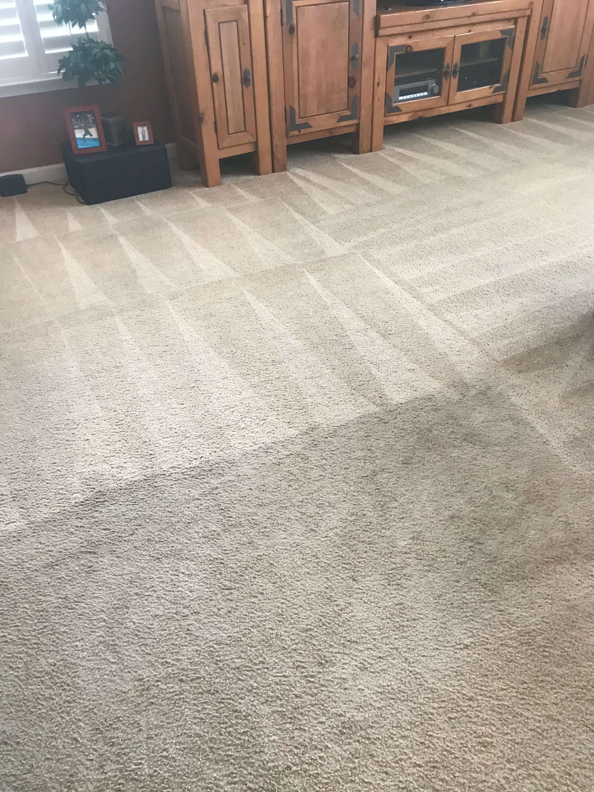 carpet cleaning 2 (1)